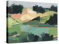 Stretched Canvas