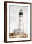 Brown Frame