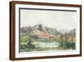Brown Frame