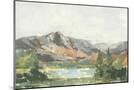 Wood Mount