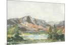 Wood Mount