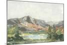 Wood Mount
