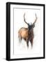 Black Frame