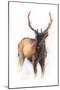 Wood Mount