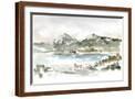 Brown Frame