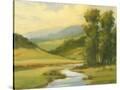 Stretched Canvas
