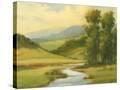 Stretched Canvas