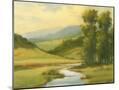 Wood Mount