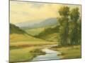 Wood Mount