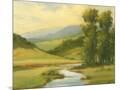 Wood Mount