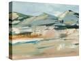 Stretched Canvas