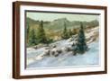 Brown Frame