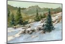 Wood Mount