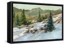 Canvas Black
