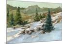 Wood Mount