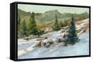 Canvas Black