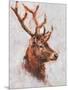 Wood Mount