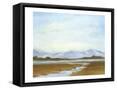 Framed Canvas