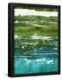 Essential Black
