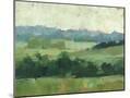 Wood Mount