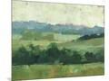 Wood Mount