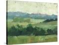 Stretched Canvas