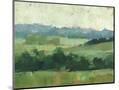 Wood Mount