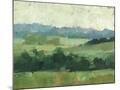 Wood Mount
