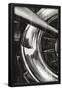 Essential Black