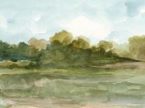 Overcast Wetland I-Ethan Harper-Art Print
