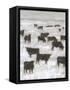 Canvas Black