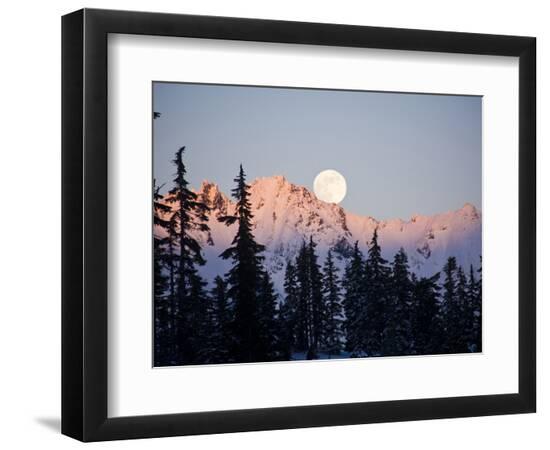 Premium Photographic Print, , large