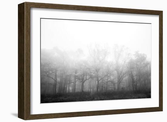 Ethereal Adventure-Paige Craig-Framed Giclee Print