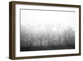 Ethereal Adventure-Paige Craig-Framed Giclee Print