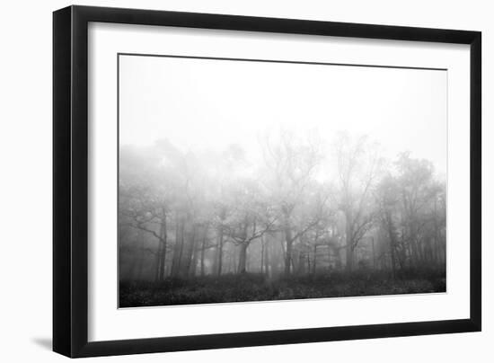 Ethereal Adventure-Paige Craig-Framed Giclee Print