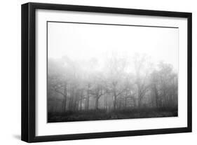 Ethereal Adventure-Paige Craig-Framed Giclee Print