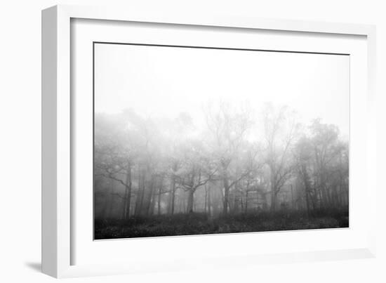 Ethereal Adventure-Paige Craig-Framed Giclee Print