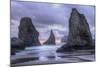 Ethereal Bandon Seascape, Oregon Coast-Vincent James-Mounted Photographic Print