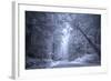 Ethereal Coastal Highway, Redwood Coast California-Vincent James-Framed Photographic Print