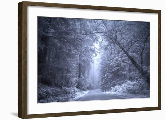 Ethereal Coastal Highway, Redwood Coast California-Vincent James-Framed Photographic Print