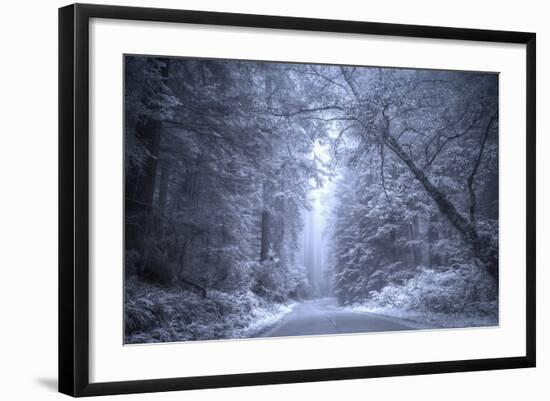 Ethereal Coastal Highway, Redwood Coast California-Vincent James-Framed Photographic Print