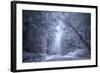 Ethereal Coastal Highway, Redwood Coast California-Vincent James-Framed Photographic Print