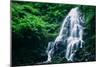 Ethereal Fairy Falls, Columbia River Gorge, Oregon-Vincent James-Mounted Photographic Print