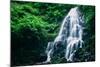 Ethereal Fairy Falls, Columbia River Gorge, Oregon-Vincent James-Mounted Photographic Print