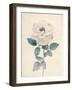 Ethereal Floral I-Collezione Botanica-Framed Giclee Print