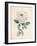 Ethereal Floral I-Collezione Botanica-Framed Giclee Print