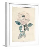 Ethereal Floral I-Collezione Botanica-Framed Giclee Print