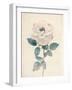 Ethereal Floral I-Collezione Botanica-Framed Giclee Print