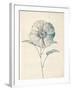 Ethereal Floral II-Collezione Botanica-Framed Giclee Print