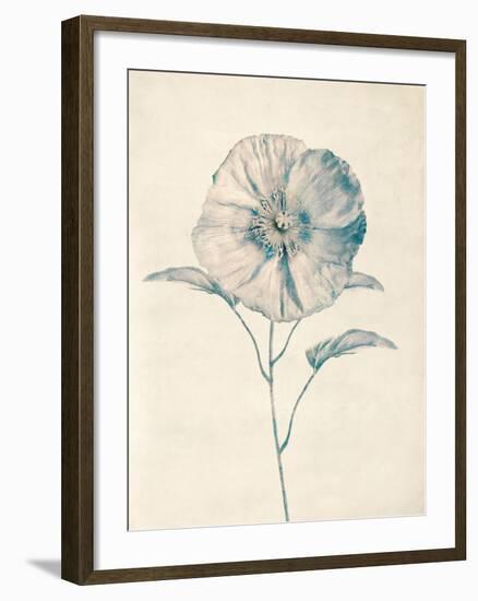 Ethereal Floral II-Collezione Botanica-Framed Giclee Print